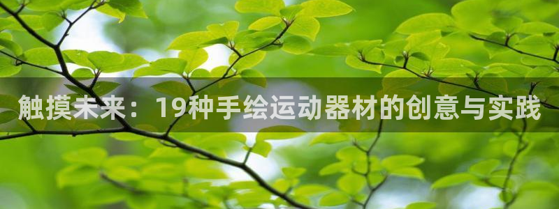 凯捷体育是干嘛的公司：触摸未来：19种手绘运动器材的