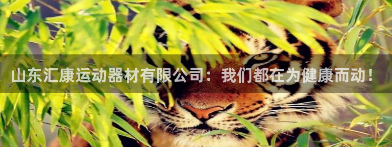 凯捷体育招商电话号码是多少号：山东汇康运动器材有限公
