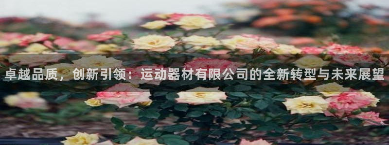 凯捷体育娱乐：卓越品质，创新引领：运动器材有限公司的
