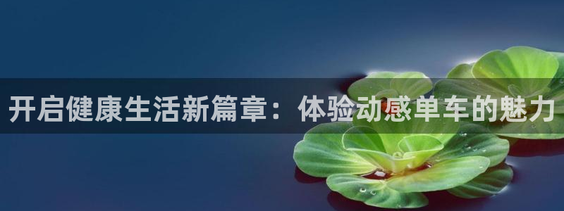 凯捷体育娱乐下载：开启健康生活新篇章：体验动感单车的