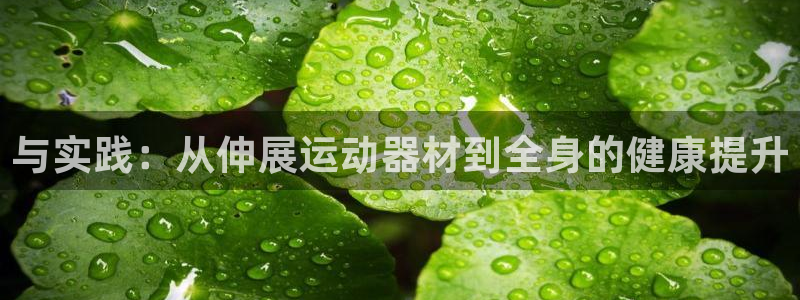 凯捷体育开户：与实践：从伸展运动器材到全身的健康提升