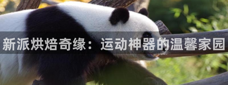 凯捷体育官方