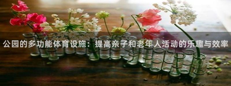 德国凯捷体育集团
