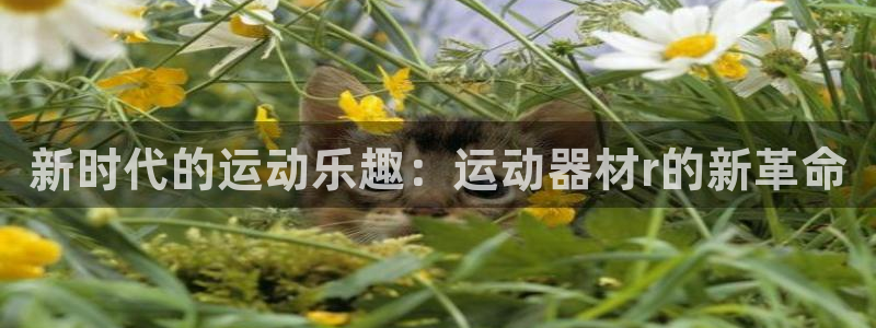 凯捷体育平台APP：新时代的运动乐趣：运动器材r的新革命