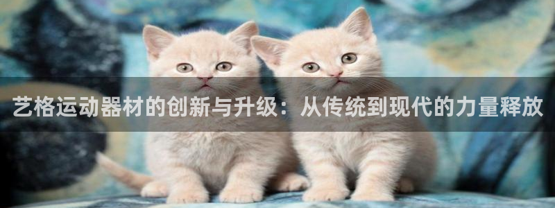 凯捷体育平台APP：艺格运动器材的创新与升级：从传统到现代的