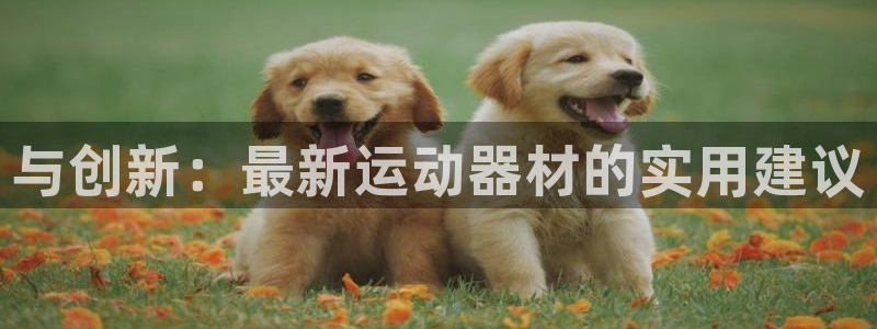 凯捷体育集团