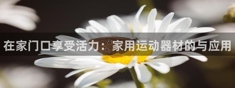 凯捷体育官方