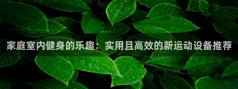 凯捷体育招商电话地址：家庭室内健身的乐趣：实用且高效