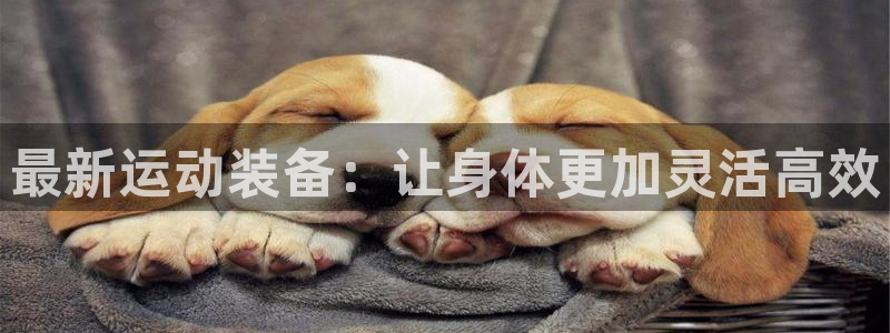 凯捷体育招商电话：最新运动装备：让身体更加灵活高效