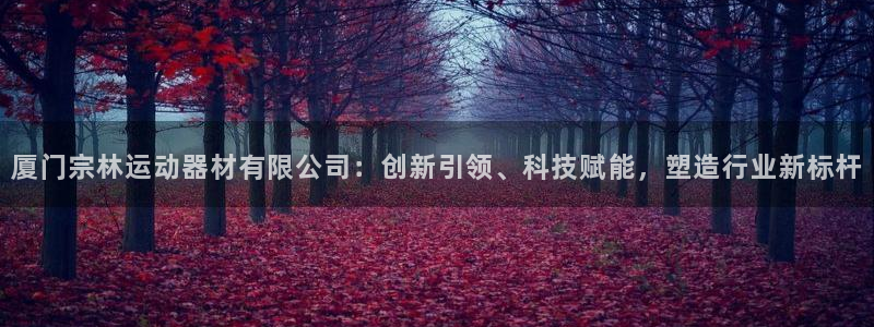 凯捷体育招商电话是多少号码：厦门宗林运动器材有限公司：创新引