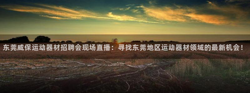 凯捷体育平台：东莞威保运动器材招聘会现场直播：寻找东