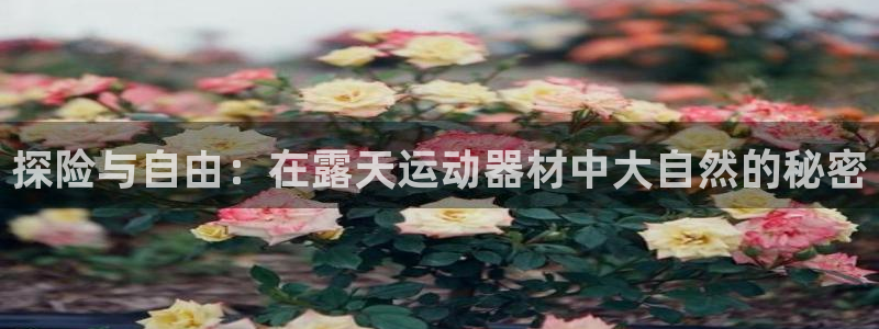 凯捷体育开户：探险与自由：在露天运动器材中大自然的秘