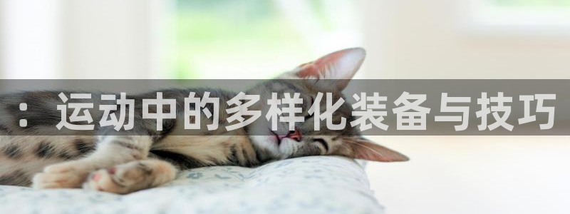 凯捷体育招商电话是多少号码：：运动中的多样化装备与技