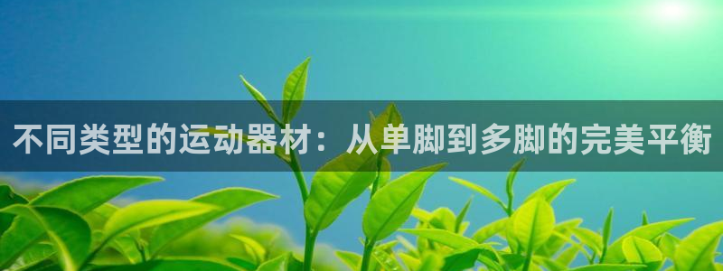 凯捷体育官方：不同类型的运动器材：从单脚到多脚的完美