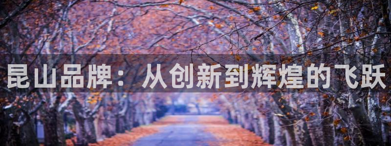 凯捷体育平台注册：昆山品牌：从创新到辉煌的飞跃