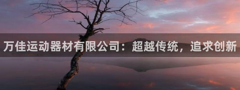 凯捷体育平台注册要钱吗是真的吗：万佳运动器材有限公司：超越传