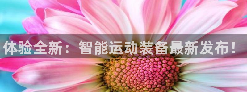 凯捷体育集团官网网址：体验全新：智能运动装备最新发布
