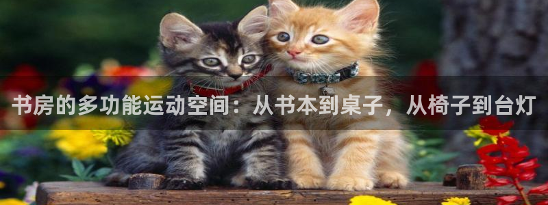 凯捷体育官方：书房的多功能运动空间：从书本到桌子，从