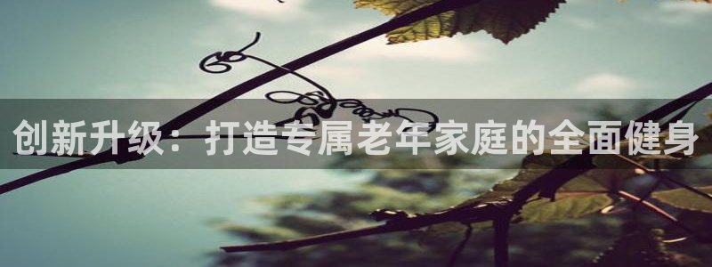 凯捷体育官方：创新升级：打造专属老年家庭的全面健身