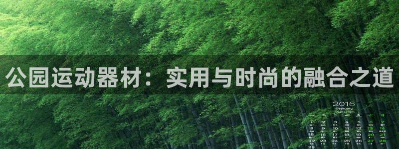 凯捷体育娱乐下载：公园运动器材：实用与时尚的融合之道