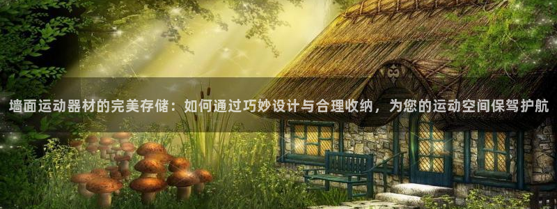 凯捷体育平台注册：墙面运动器材的完美存储：如何通过巧
