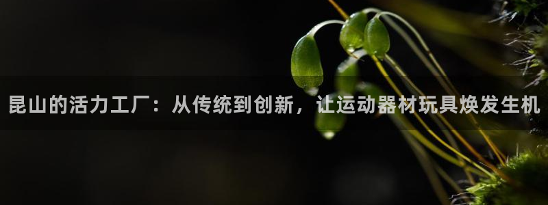 凯捷体育软件：昆山的活力工厂：从传统到创新，让运动器