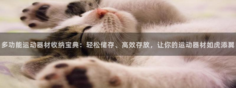 海南凯捷体育：多功能运动器材收纳宝典：轻松储存、高效