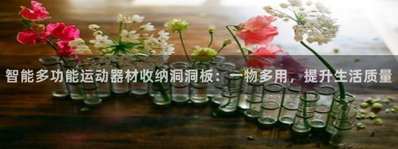 凯捷体育平台注册要钱吗：智能多功能运动器材收纳洞洞板