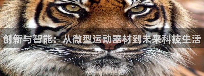 凯捷体育招商电话号码查询：创新与智能：从微型运动器材