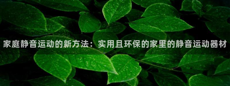 凯捷体育平台：家庭静音运动的新方法：实用且环保的家里