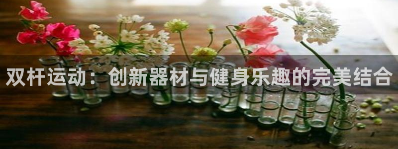 凯捷体育开户：双杆运动：创新器材与健身乐趣的完美结合