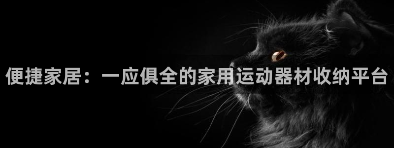 凯捷体育官方：便捷家居：一应俱全的家用运动器材收纳平