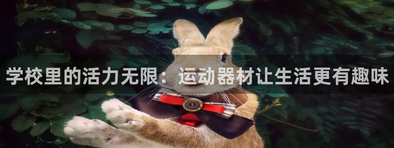凯捷体育开户：学校里的活力无限：运动器材让生活更有趣