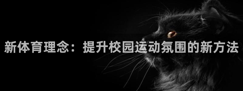 凯捷体育招商电话是多少啊：新体育理念：提升校园运动氛