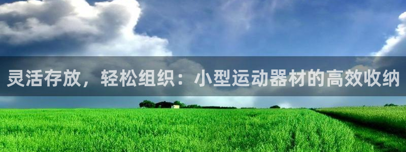 凯捷体育：灵活存放，轻松组织：小型运动器材的高效收纳
