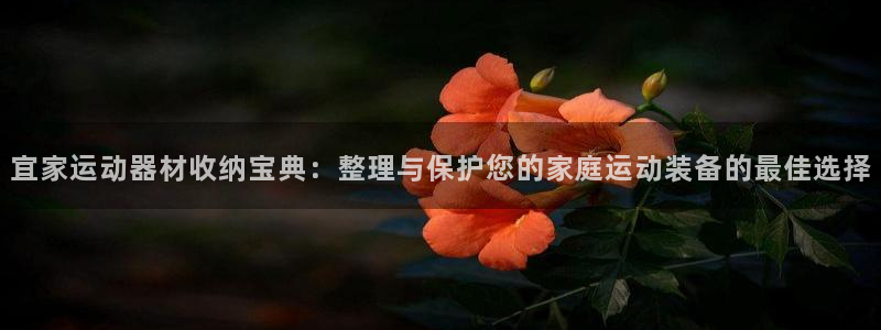 凯捷体育集团官网网址：宜家运动器材收纳宝典：整理与保