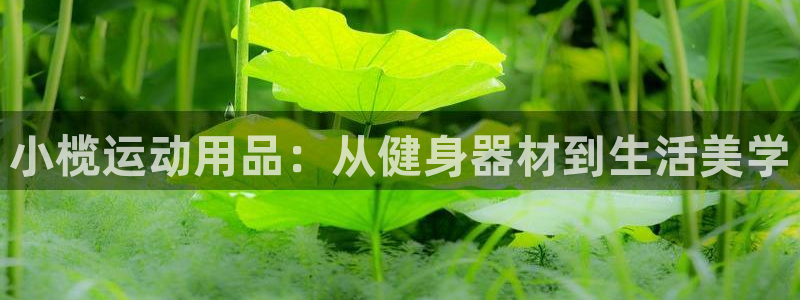 凯捷体育平台是正规平台吗：小榄运动用品：从健身器材到生活美学