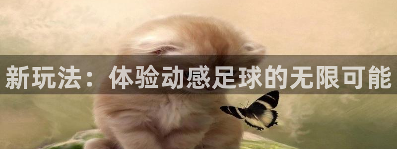 凯捷体育平台注册流程视频：新玩法：体验动感足球的无限