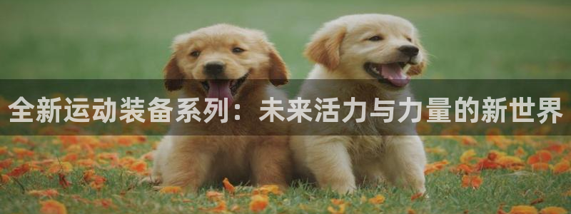 凯捷体育招商电话号码：全新运动装备系列：未来活力与力量的新世