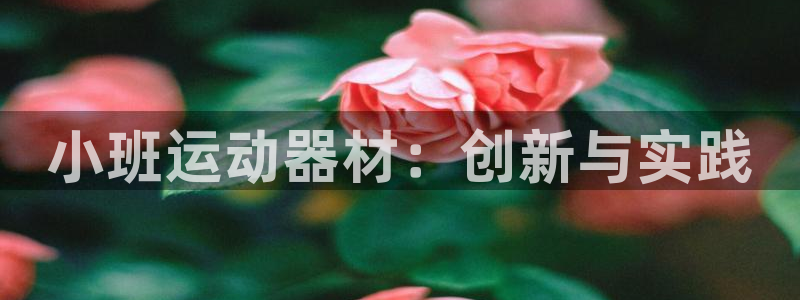 凯捷体育注册：小班运动器材：创新与实践