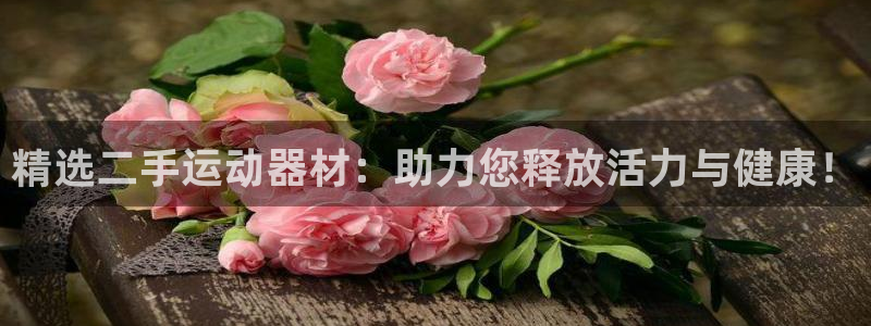 凯捷体育娱乐平台：精选二手运动器材：助力您释放活力与