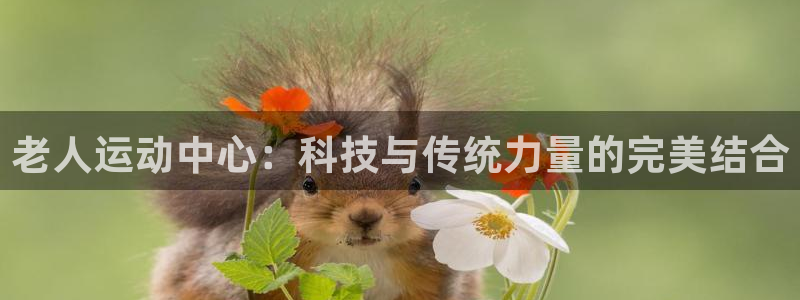 凯捷体育招商电话是多少：老人运动中心：科技与传统力量