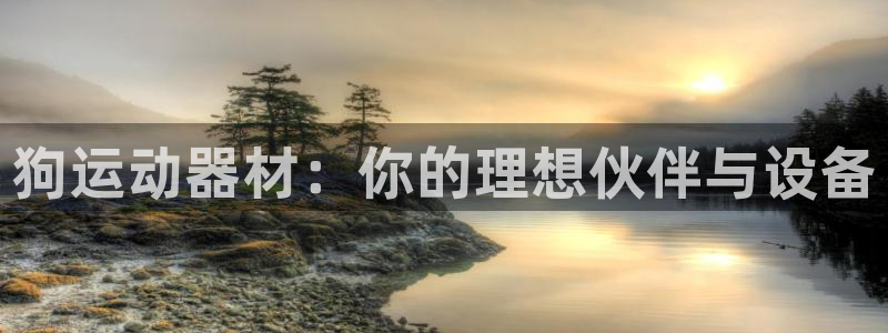 凯捷体育联系电话：狗运动器材：你的理想伙伴与设备