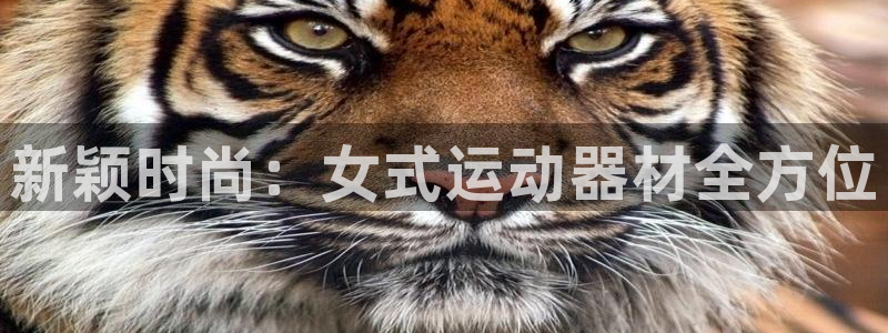 凯捷体育平台是正规平台吗知乎