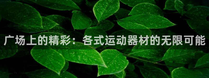 凯捷体育招商电话号码查询：广场上的精彩：各式运动器材
