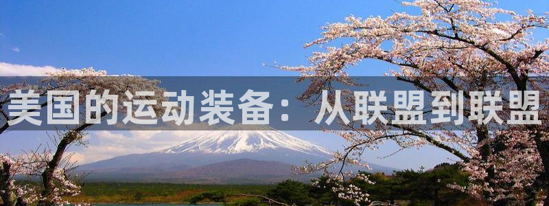 德国凯捷体育集团：美国的运动装备：从联盟到联盟