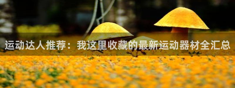 凯捷体育代理：运动达人推荐：我这里收藏的最新运动器材