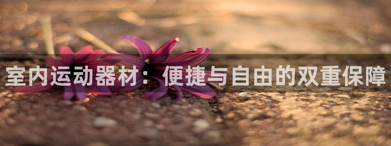 凯捷体育平台注册要钱吗：室内运动器材：便捷与自由的双