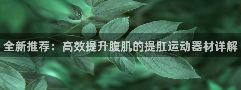 凯捷体育平台假的吗是真的吗吗：全新推荐：高效提升腹肌