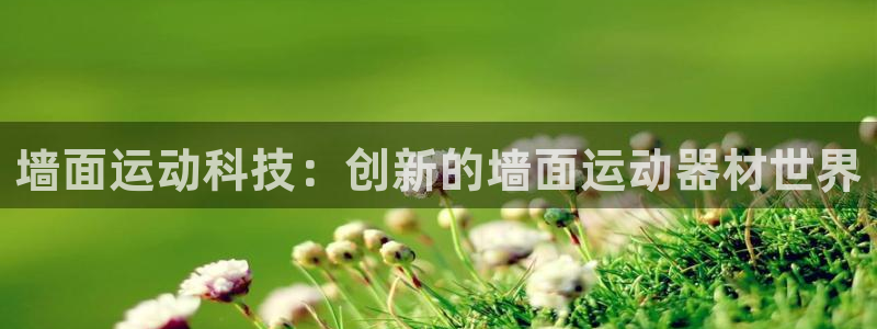 凯捷体育是干嘛的公司：墙面运动科技：创新的墙面运动器